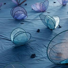 Petit Mars Changeant -c- Petit Mars Changeant