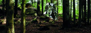 Programme (C) Michel de Broin