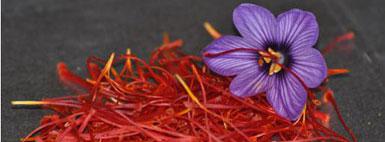 atelier_cuisine_c_khalil_nemmaou-sub atelier_cuisine_c_khalil_nemmaou-sub